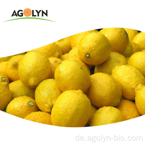 Natürliche gelbe frische Zitronenfrucht zum Verkauf